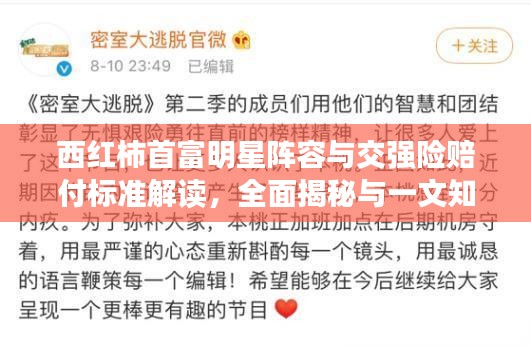 西红柿首富明星阵容与交强险赔付标准解读,全面揭秘与一文知晓!