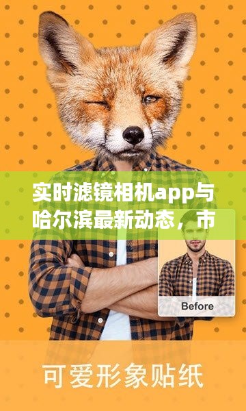 实时滤镜相机app与哈尔滨最新动态,市场聚焦及未来展望