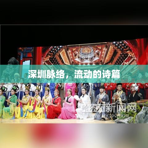 深圳脉络,流动的诗篇