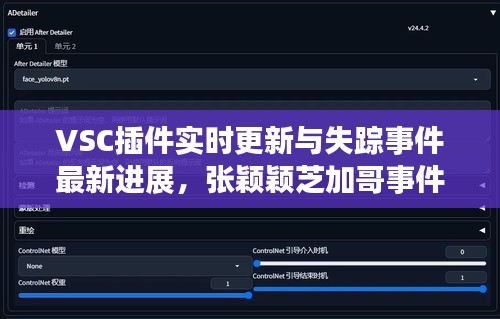 VSC插件实时更新与失踪事件最新进展，张颖颖芝加哥事件要点列表