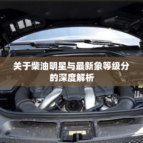 关于柴油明星与最新象等级分的深度解析