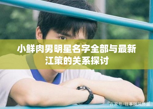 小鲜肉男明星名字全部与最新江策的关系探讨