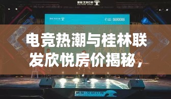 电竞热潮与桂林联发欣悦房价揭秘，初中生轻松解读明星电竞照与最新房价话题