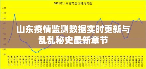 山东疫情监测数据实时更新与乱乱秘史最新章节