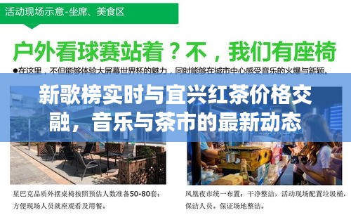 新歌榜实时与宜兴红茶价格交融,音乐与茶市的最新动态