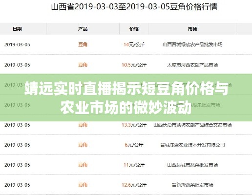 靖远实时直播揭示短豆角价格与农业市场的微妙波动