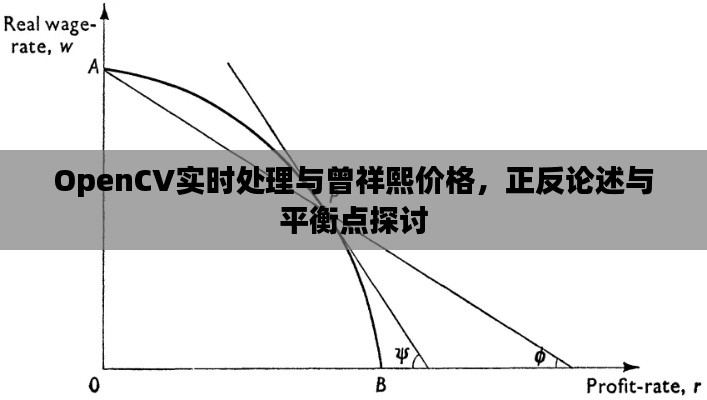 OpenCV实时处理与曾祥熙价格，正反论述与平衡点探讨