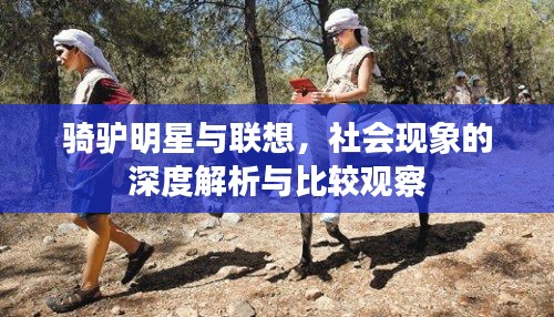 骑驴明星与联想，社会现象的深度解析与比较观察