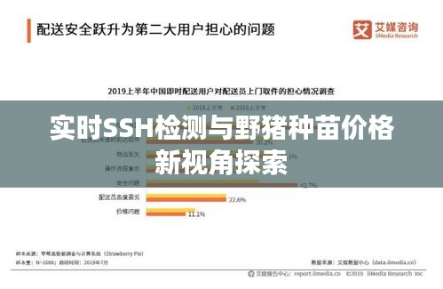 实时SSH检测与野猪种苗价格新视角探索