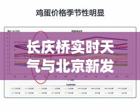 长庆桥实时天气与北京新发地鸡蛋价格表的关系解析