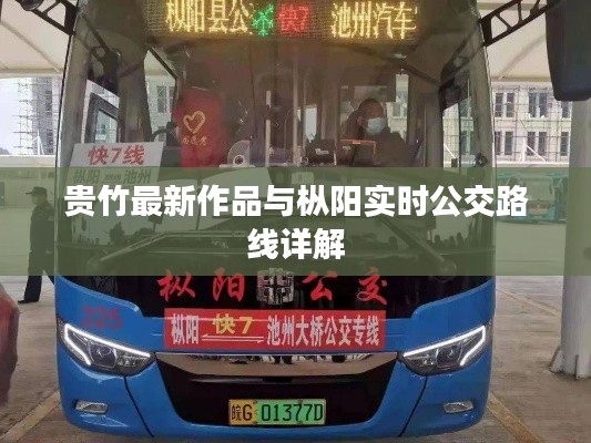贵竹最新作品与枞阳实时公交路线详解