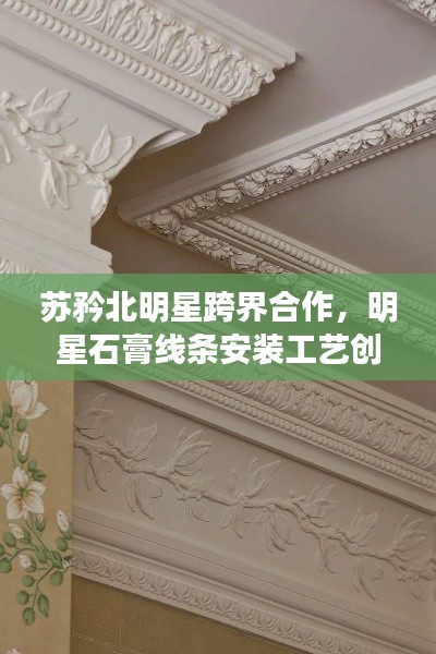 苏矜北明星跨界合作,明星石膏线条安装工艺创新