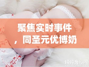 聚焦实时事件,同圣元优博奶粉最新动态解析,603308事件关注焦点