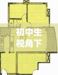 初中生视角下的体育风采与社区动态，全明星焦点与萧山盈一佳苑最新资讯概览