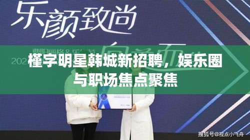 槿字明星韩城新招聘，娱乐圈与职场焦点聚焦
