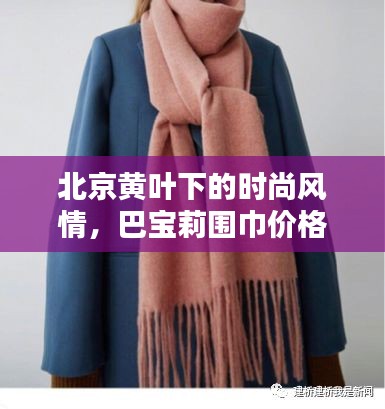 北京黄叶下的时尚风情，巴宝莉围巾价格与图片全览