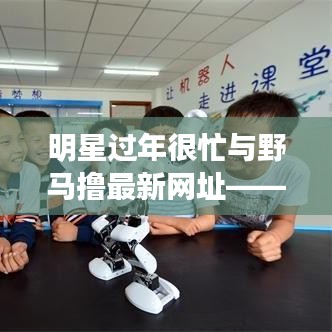 明星过年很忙与野马撸最新网址——深入解读与实用指南