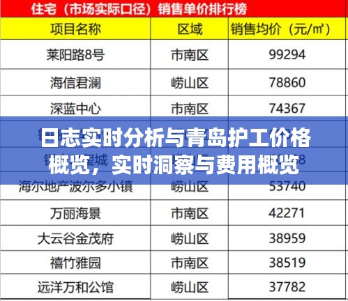 日志实时分析与青岛护工价格概览,实时洞察与费用概览