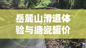 岳麓山滑道体验与搪瓷罐价格探究
