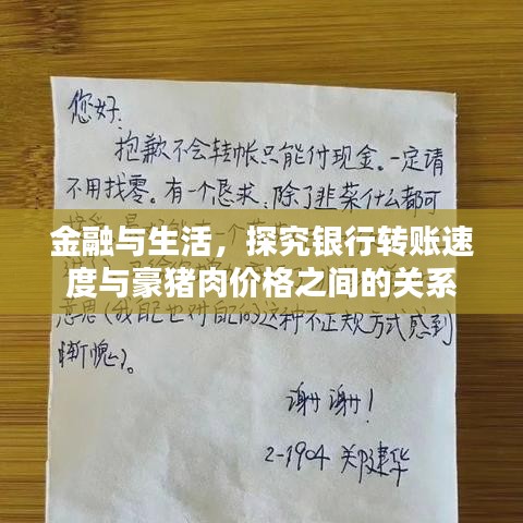 金融与生活,探究银行转账速度与豪猪肉价格之间的关系