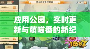 应用公园,实时更新与萌喵番的新纪元冒险之旅