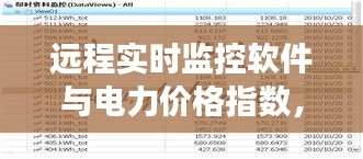 远程实时监控软件与电力价格指数，应用、解读与风险防范