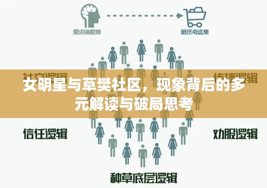 女明星与草樊社区，现象背后的多元解读与破局思考