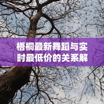 梧桐最新舞蹈与实时最低价的关系解析