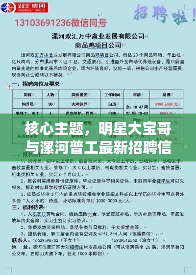 核心主题，明星大宝哥与漯河普工最新招聘信息