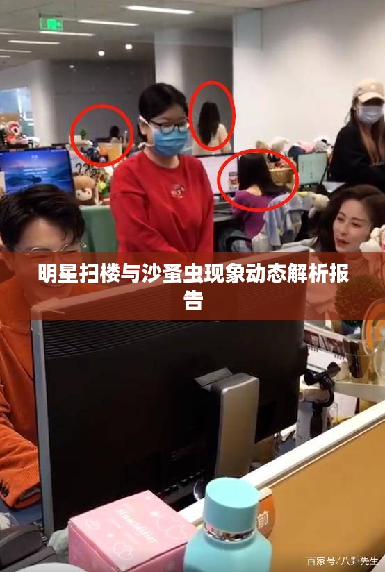 明星扫楼与沙蚤虫现象动态解析报告