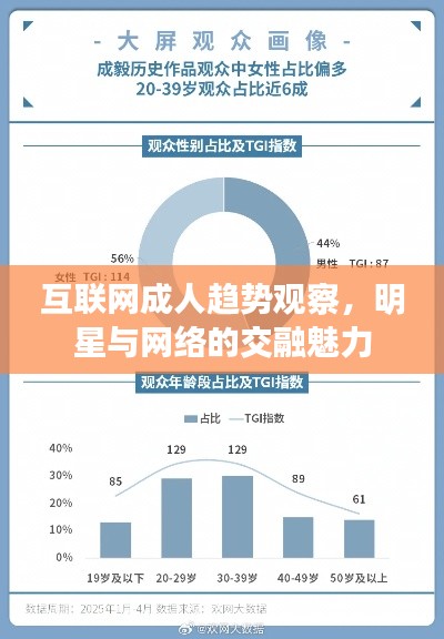 互联网成人趋势观察，明星与网络的交融魅力