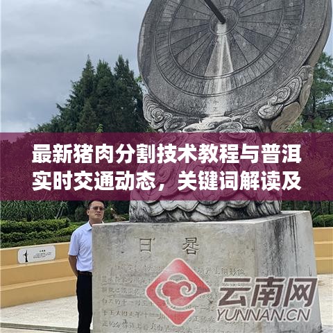 最新猪肉分割技术教程与普洱实时交通动态,关键词解读及实际操作指南