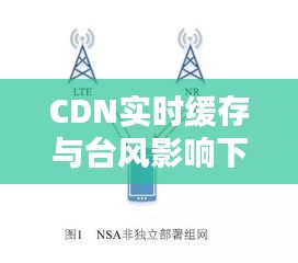 CDN实时缓存与台风影响下的网络性能分析