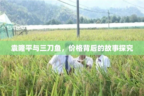 袁隆平与三刀鱼，价格背后的故事探究
