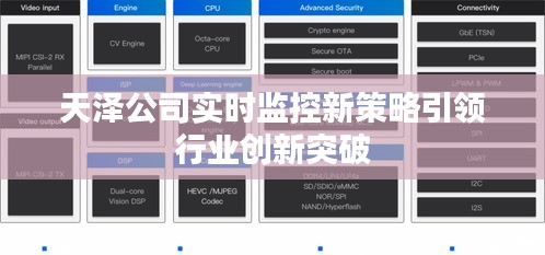 天泽公司实时监控新策略引领行业创新突破