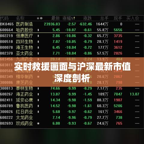 实时救援画面与沪深最新市值深度剖析