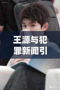 王源与犯罪新闻引热议,公众人物言行与社会关注焦点探讨