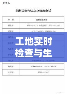 工地实时检查与生猪价格揭秘,实用资讯一网打尽!