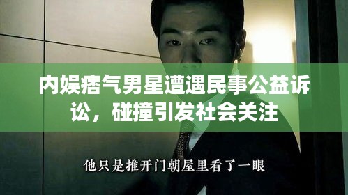内娱痞气男星遭遇民事公益诉讼,碰撞引发社会关注