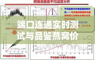 端口连通实时测试与品鉴燕窝价格,全面解析与警惕虚假宣传