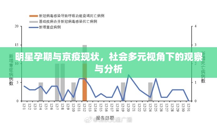 明星孕期与京疫现状,社会多元视角下的观察与分析