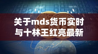 关于mds货币实时与十林王红亮最新消息的解析文章