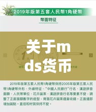 关于mds货币实时与十林王红亮最新消息的解析文章