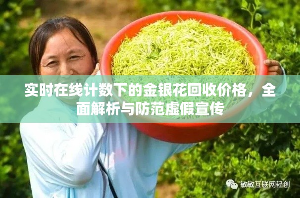 实时在线计数下的金银花回收价格，全面解析与防范虚假宣传