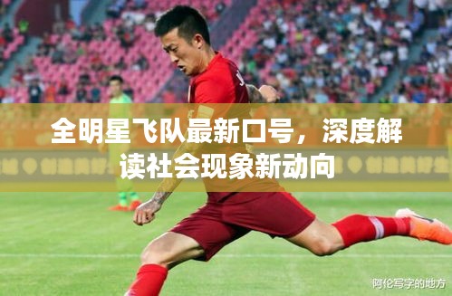 全明星飞队最新口号,深度解读社会现象新动向