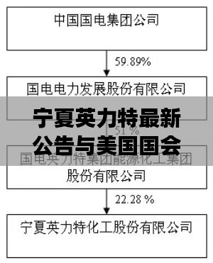宁夏英力特最新公告与美国国会选举实时统计动态——全面资讯解读