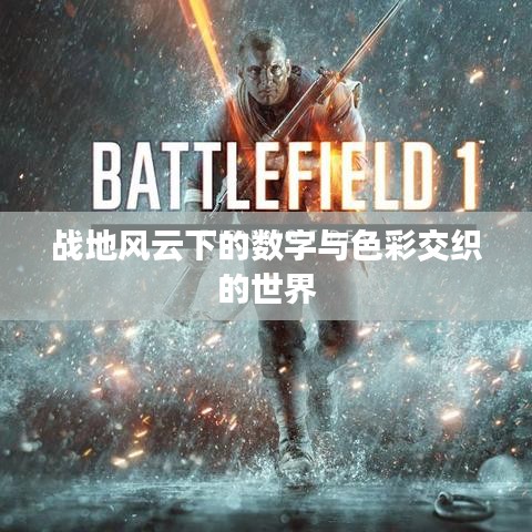 战地风云下的数字与色彩交织的世界