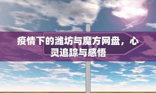 疫情下的潍坊与魔方网盘，心灵追踪与感悟