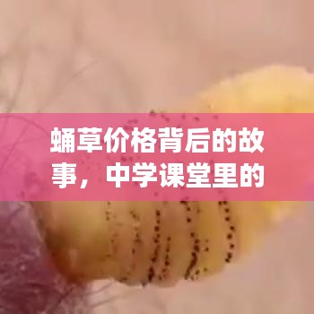蛹草价格背后的故事，中学课堂里的轻松探索