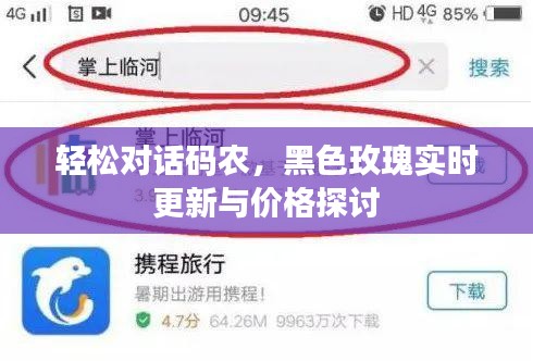 轻松对话码农，黑色玫瑰实时更新与价格探讨